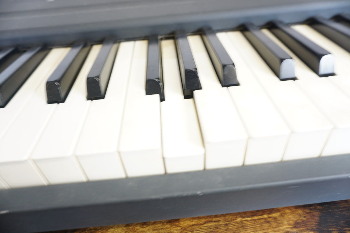 Roland FP-8G FP-8 Digital Piano